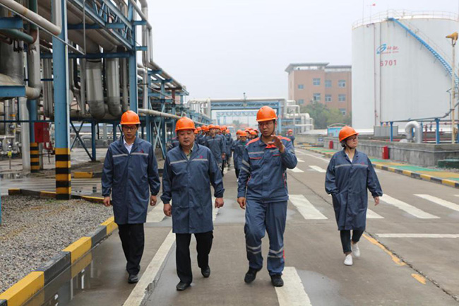 2fa13060724147499ca49a6209ad19f7