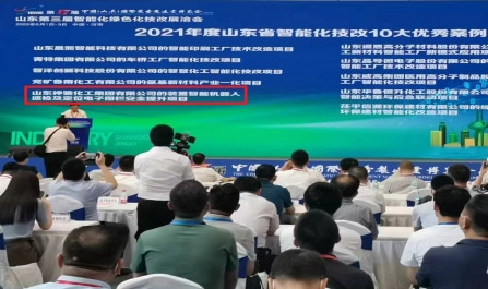 山东南宫国际化工集团有限公司入选“山东省智能化技改十大优异案例”