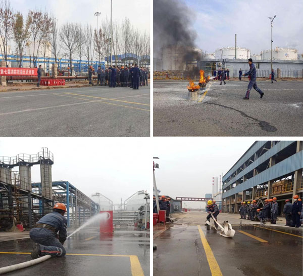 c9e48828da0245f4aeac0e33e6f28f55