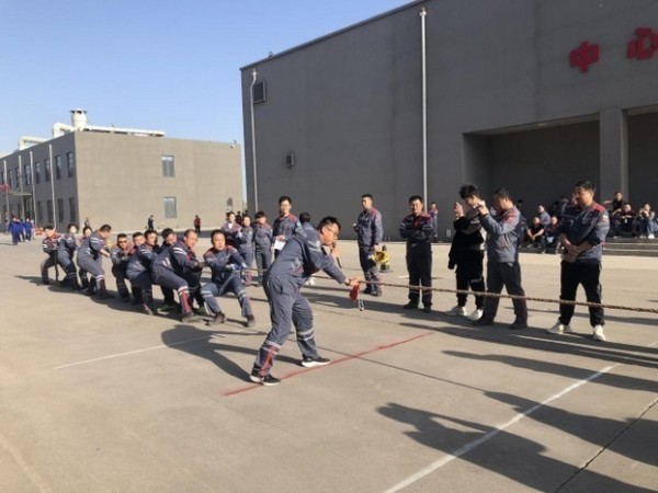 53f603e7a46440c9bc56fbc3a786d5c2