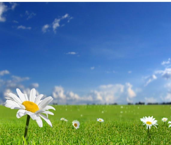 076540f632dd4ad0ba0182c640f7d16e