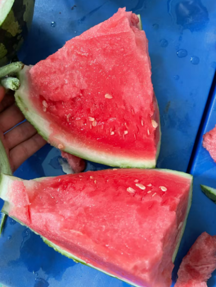 0d8a6070323642eb9f6130fae51533b8