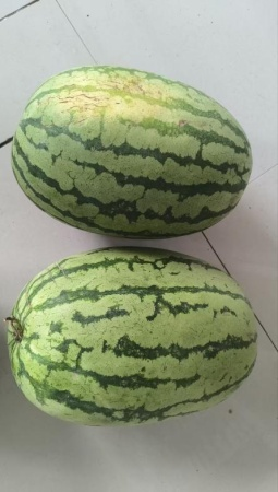 1039f097da90403d8fe1fcd952214a02